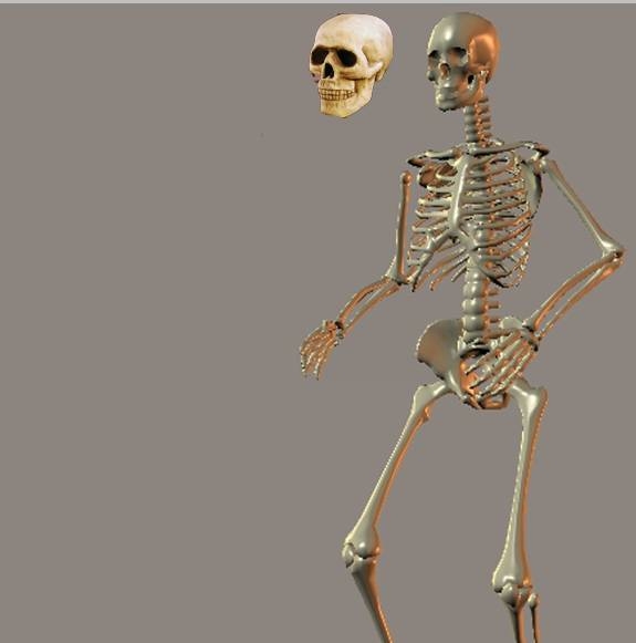 Creation of The Skeleton : Step 1